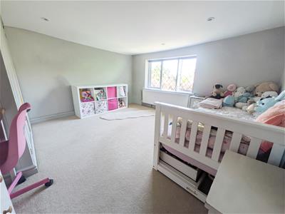 Picture 28